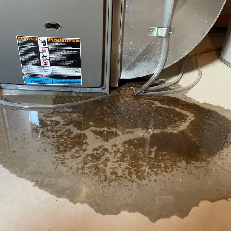 Appliance Leak Cleanup in Jim Hogg County, TX